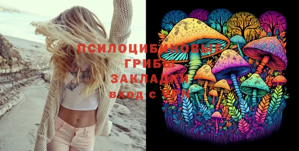 PSILOCYBIN Карталы