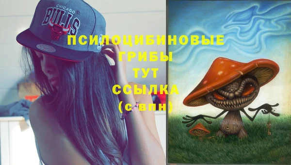 мескалин Каменка