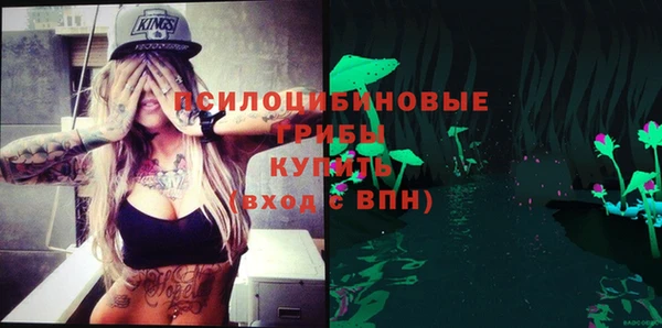 не бодяженный Каменногорск