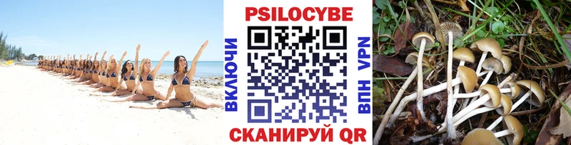 Галлюциногенные грибы Cubensis  Купить закладки  Слободской 